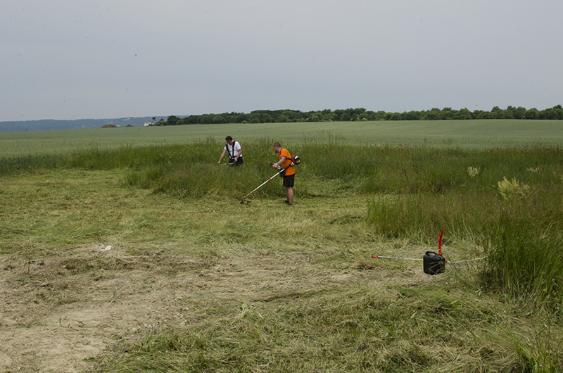 Před předáním pozemku firmě Loex bylo třeba posekat trávu, která byla už vyšší než já, hrůza :-)